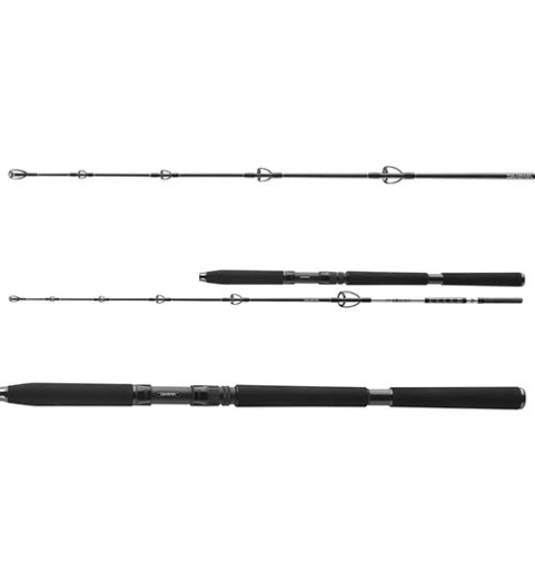 Daiwa - BG Jigger 1.70m 150-400g - (11928-170)