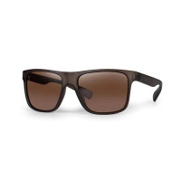 Fox - Avius Trans Khaki - Brown Lens - Napszemüveg - Barna Lencse - (CSN055)