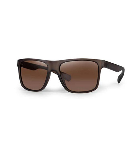 Fox - Avius Trans Khaki - Brown Lens - Napszemüveg - Barna Lencse - (CSN055)