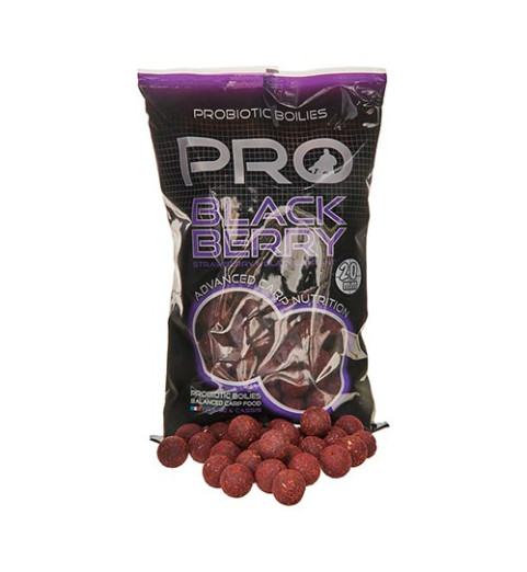 Starbaits - Boilies Pro Blackberry 24mm 800g - (65187)